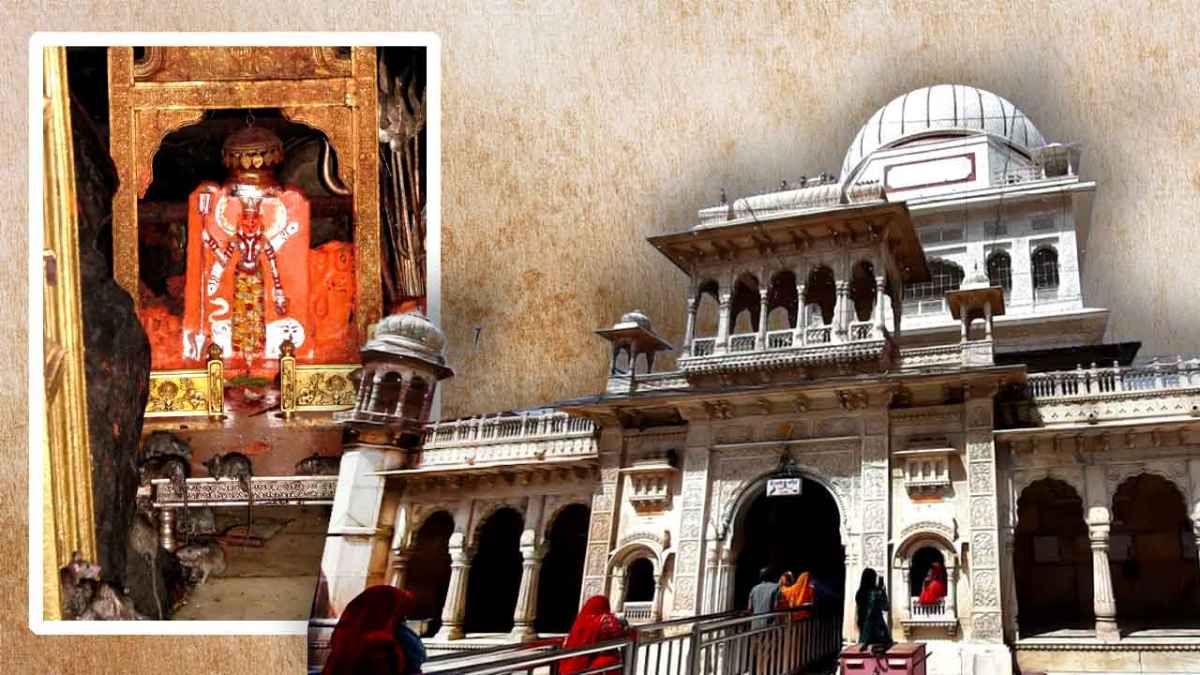 যেখানে ২৫ হাজার ইঁদুর পূজিত হয় দেবীর সন্তান রূপে: জানুন রাজস্থানের রহস্যময় করণী মাতার ধামের গল্প
