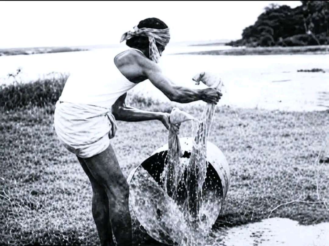 ড্রামে ভরা ৬টি লাশ: ব্রাহ্মণবাড়িয়ায় এক সনাতনী পরিবারের মর্মান্তিক পরিণতি